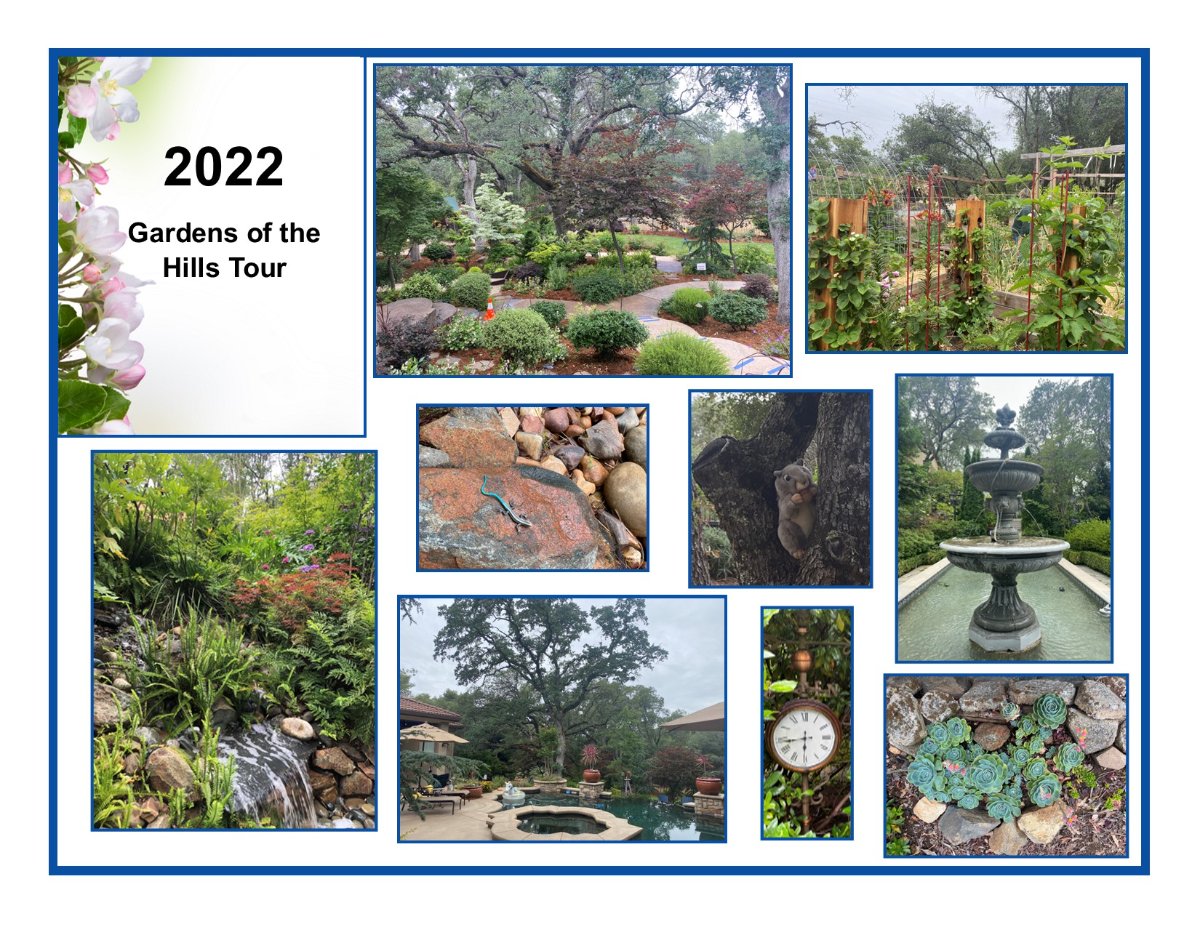Shop Image