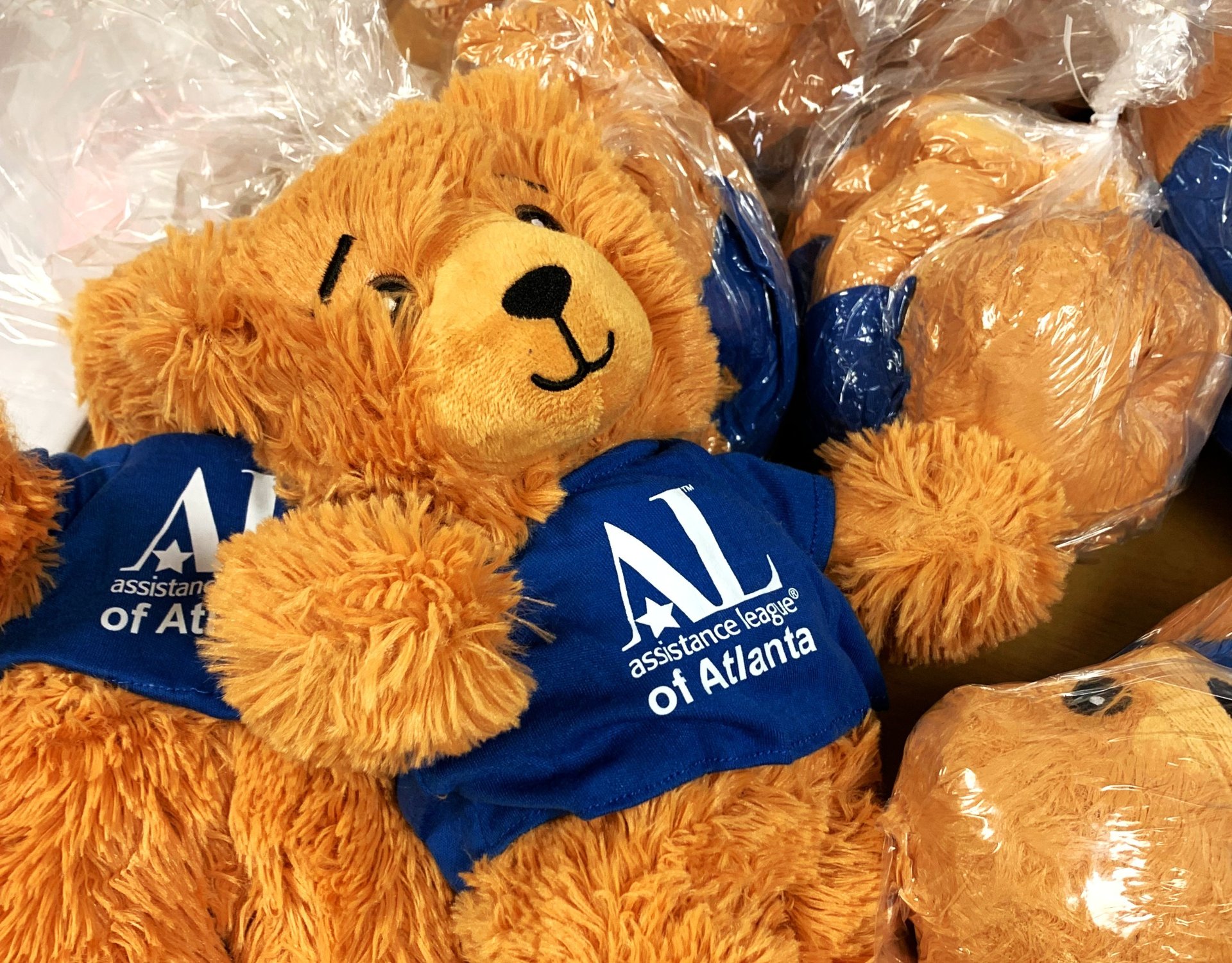 Bears for Children