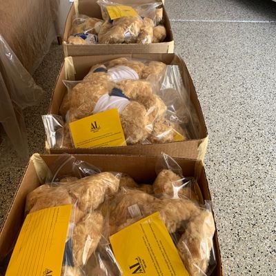 Hug-a-Bear Delivered to Family Supportive Housing
